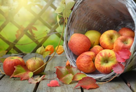 Herbstlicher Korb mit Äpfeln © castleguard - Pixabay