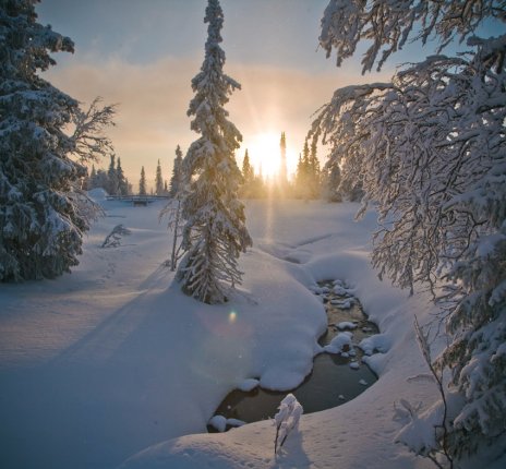 Winterlandschaft Lappland © Lapland Marketing Ltd