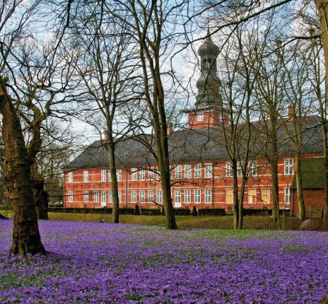Krokusblüte im Schlosspark © hanseat-fotolia.com