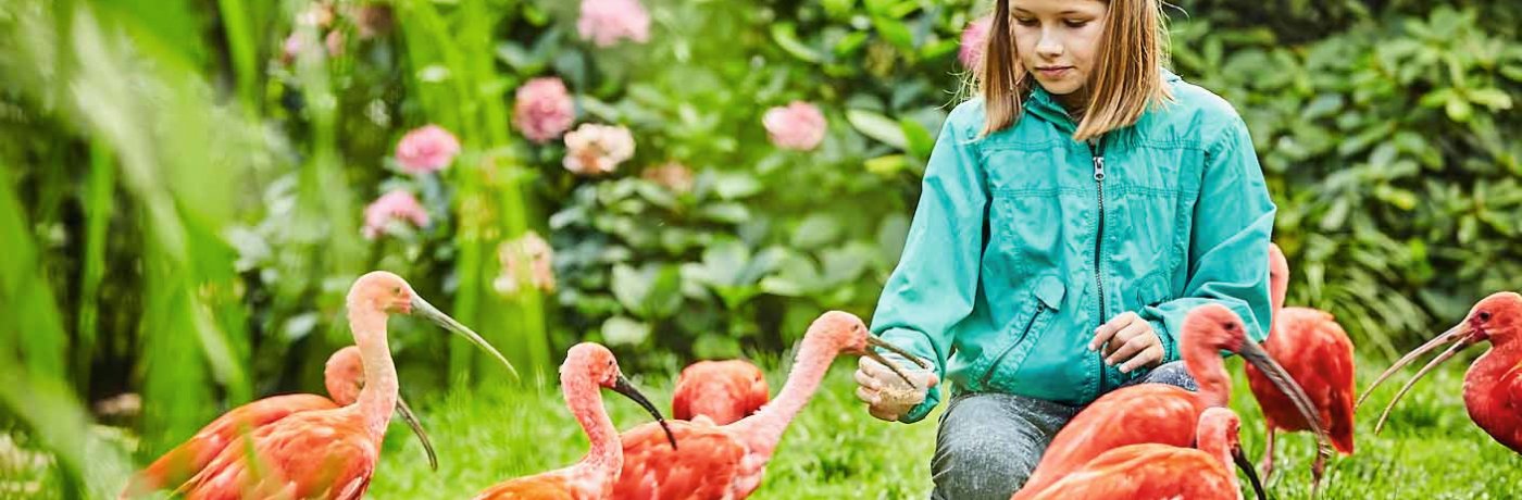 Weltvogelpark Walsrode