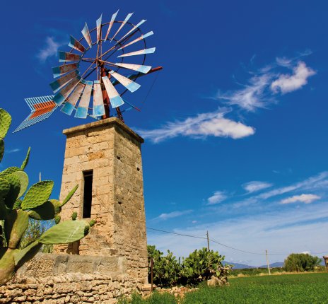 Windmühle auf Mallorca © Jürgen Fälchle-fotolia.com