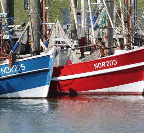 Fischkutter im Hafen © Kurverwaltung Norden-Norddeich