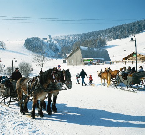 Winterliche Schlittenfahrt © FVV Erzgebirge