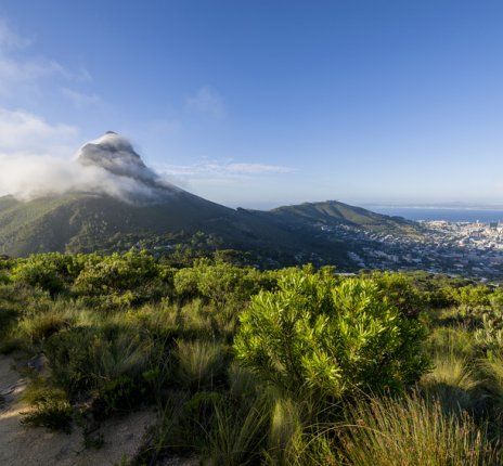 Südafrika - Tafelberg mit Blick auf Cape Town © softfocusphoto