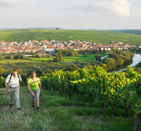 Wandern an der Volkacher Mainschleife &copy; Frankentourismus/FWL/Andreas Hub